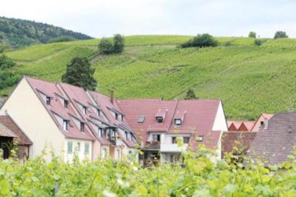 Vue Sur Vignes Apartamento Riquewihr Exterior foto